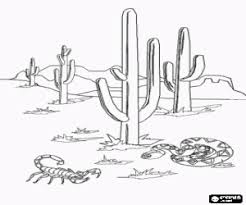 Check spelling or type a new query. Coloriage Paysage Du Desert De Sonora A Imprimer Coloring Pages Coloring Pages Nature Landscape Coloring Pages