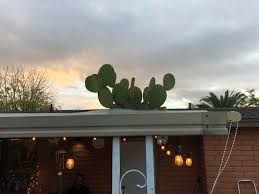 In 1951, he won a pulitzer prize for editorial cartooning for an editorial cartoon entitled hats, which was a commentary on the korean war. This Cactus With No Spines Growing Out Of My Cousin S Roof Damnthatsinteresting
