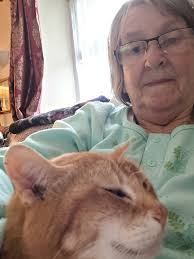 Larry the Downing Street Cat for Prime Minister!