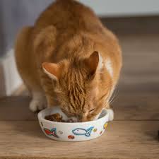 However, hills science plan is a good food, the unrinary. Urinary Ph Impact On Your Cat S Health