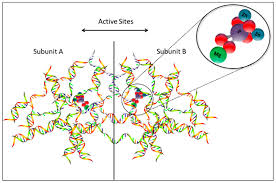 Biosensors Free Full Text Overview Of Optical And