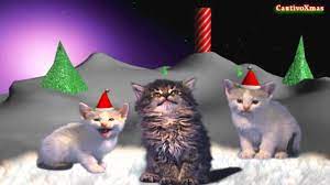 Jingle Cats Silent Night Original Clip Cat Celebrating Christmas Cats Cats