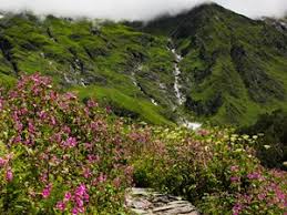The kashmir valley, or more poetically the vale of kashmir, is a large valley in the himalayan mountains and an administrative division of jammu and kashmir, india. Valley Of Flowers Trek 2021 Himalaya Trekkers Ht Treks