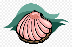 Clam Vector Cartoon Clam Cartoon Hd Png Download Vhv Shore seashell beach, cartoon starfish shell, clam shell and star fish illustration png clipart. clam vector cartoon clam cartoon hd