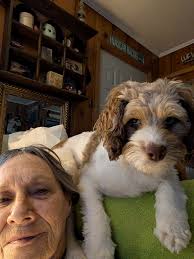 Hi all, I recently got the update. Who is Ben talking to