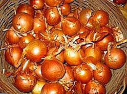 Simply, the refrigerator is dry and cold place. How To Store Onions In The Cellar And Apartment Bow