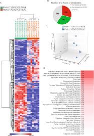 patched1 haploinsufficiency severely impacts intermediary