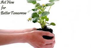 Reviving and protecting our ecosystems is this year's world environment day theme and marks the beginning of the united nations decade on ecosystem restoration. World Environment Day 6 Easy Things You Can Do To Save The Environment