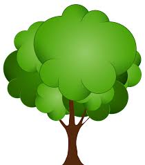 Family Tree Drawing 4599 5232 Transprent Png Free Download Green Tree Leaf Cleanpng Kisspng