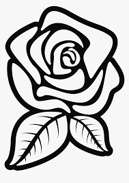 Download flower outline clipart and use any clip art,coloring,png graphics in your website, document or presentation. Rose Outline Png Rose Black And White Flower Clipart Transparent Png Kindpng