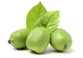 Image result for foto minikiwi