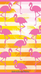 Wallpapers Xo Nikkix Walls Found On Pinterest Flamingo Wallpaper Pink Flamingo Wallpaper Flowery Wallpaper