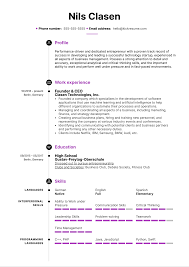 Savesave example curriculum vitae for later. Didn T Graduate High School Resume Example Kickresume