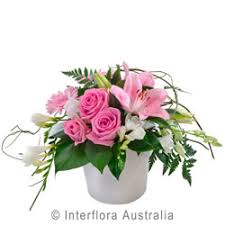 We did not find results for: Port Kembla Flowers Gifts Order In Store Online Now