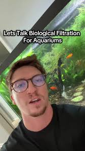 Let's do a water change together! #fishcare #homeaquarium #plantedtank...