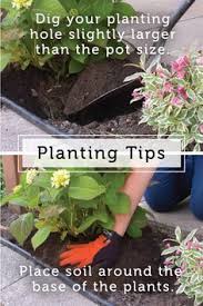 Pin On Raised Garden