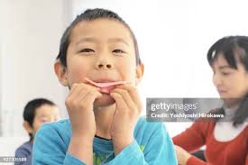 8 170 Cook Ham Stock Photos, High-Res Pictures, and Images