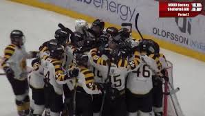 Skellefteå aik laddar för en ny säsong. Sa Gick Det I Sm Kvalet For U16 Hockeymagasinet