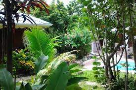 Au Coeur D Un Jardin Tropical Maisons A Louer A Le Marin Jardin Tropical Jardins Maison A Louer