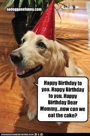 A birthday is a special day for us, even pets also feel their best day. Dog Funny Birthday Quotes Quotesgram