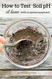 How to test soil to determine if your garden is ready to be planted, looking at tilth, structure, earthworms, micro organisms, compaction, and scientists warn gardeners not to overemphasize results from one or two steps, but to consider the test as a whole. How To Do A Soil Ph Test At Home