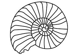 Fill With Tangles Coloring Page Ammonite Mollusc Sencilleces Ammonite Coloring Pages Free Coloring Sheets
