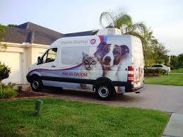 We are professional groomers with years of experience, ready at your doorstep in our little blue. Mobile Pet Grooming Van Photos Zoomin Groomin 855 825 Pets Best Mobile Pet Grooming By Zoomin Groomin Eco Friendly Pet Grooming Service