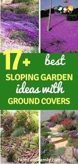 17 Sloping Garden Ideas With Ground Covers Farmfoodfamily Sloped Garden Ground Cover Landscaping A Slope