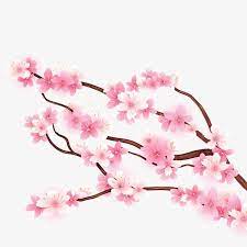 Millions Of Png Images Backgrounds And Vectors For Free Download Pngtree Cherry Blossom Cherry Blossom Tree Tree Images