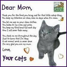Cat Welcome Poem Kitten Cat Pet Kitty Cat Poems Cat Parenting Cats