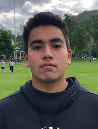 High school football: Pine View Panthers 2019 preview