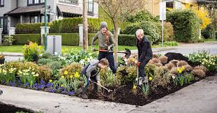 Garden rescue also gives information to the user on how to take care of their plant after it has been diagnosed, such as giving it more water if dehydrated. Green Streets Program City Of Vancouver