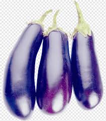 Terong adalahjenis tumbuhan yang mempunyai kedekatan dengan tumbuhan kentang, tomat, dan paprika. Terong Sayur Terong Ungu Violet Sayur Sayuran Png Pngwing