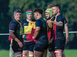 Chris Emmett returning to a happy camp at Windsor after holiday in New  Zealand