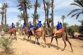 A lovely fun trip falling in the beautiful majorelle gardens and then out to the palmerie by car to fake a camel trip. Spacetraveller Activity Private Majorelle Garden And