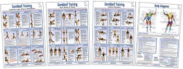 74 Unfolded Exercise Fitness Chart