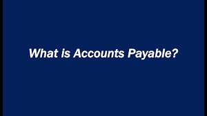 Using traditional accounting software or excel, the values in accounts receivable and accounts payable must be entered and balanced manually. Account Payable Meaning In Malay