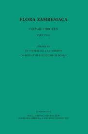 Image result for Eriospermaceae