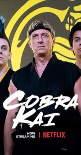 Cobra Kai Tv Series 2018 Imdb