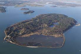 Family run back then and still family run today, our luxury boats are unrivalled for service and safety. Nt Island Review Of Brownsea Island Poole England Tripadvisor