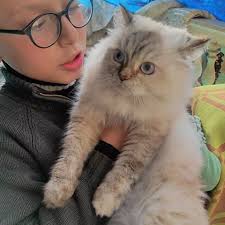 Fundraiser for Brandon Lopez by Ximena Ramirez : Aid a Mother Fighting for  Her Children's Survival