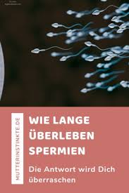 Wie Lange Uberleben Spermien Uberraschende Lebensdauer