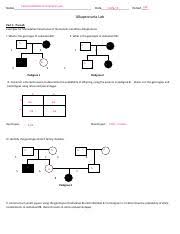 They will then determine the genotypes of the family members in order to identify the thief. Pedigrees Biology 22 Pedigrees In This Exercise You Will Learn Genetic Interpretations Of Family Relationships Depicted In Pedigrees You Will Complete Course Hero