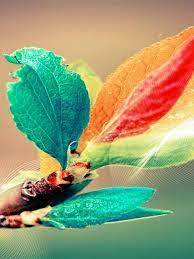 20 Most Stylish Whatsapp Wallpapers Of 2016 New Wallpaper Iphone Nature Iphone Wallpaper Whatsapp Background