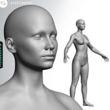 So if any one could uploaded two reference image (front view and side view) or can give me a link to a free site,i would appreciate it greatly. Female Body Reference For 3d Modelling Stlfinder