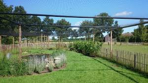 Weitere ideen zu hühnerhaus, hühner, hühner im garten. Volierennetze Kaufen Www Vandijknetten Com