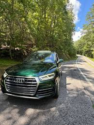 Image result for Azorean Green 2016 Q5