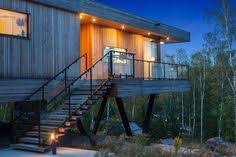 Image result for Plinthus