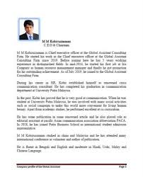 Provide the required linkage between the board of directors and the executive management team, and provide them with adequate information… Chief Executive Officer Resume Template 7 Free Word Excel Format Download Premium Templates Ceo Profile Template Insymbio