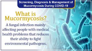 Mucormycosis is an emerging infection in immunocompromised patients, and the mortality with standard therapy remains unacceptably high. Dr Harsh Vardhan On Twitter Mucormycosis Commonly Known As Blackfungus Has Been Observed In A Number Of Covid19 Patients Recently Awareness Early Diagnosis Can Help Curb The Spread Of The Fungal